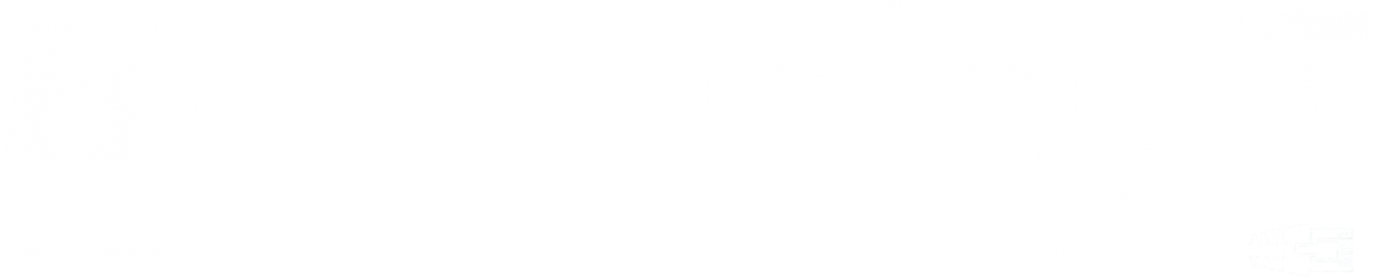 bordesley it logo in white